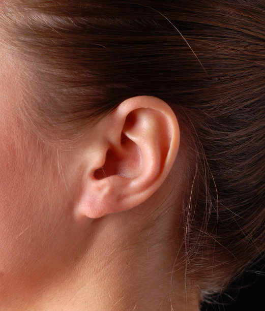 女性的耳朵图片下载