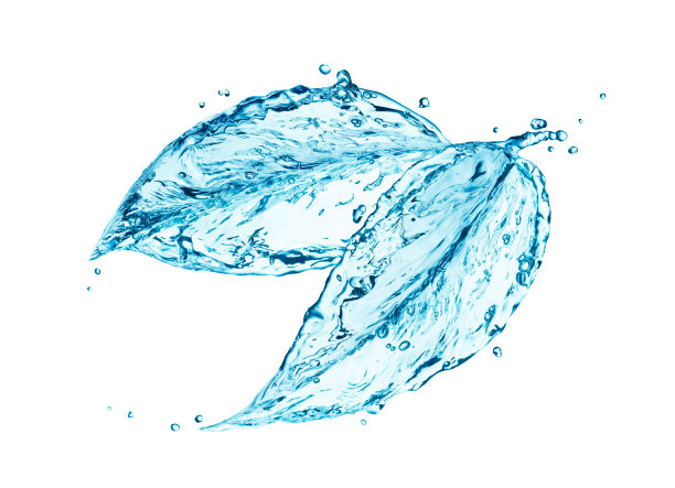 水花以植物的形式飞溅图片下载