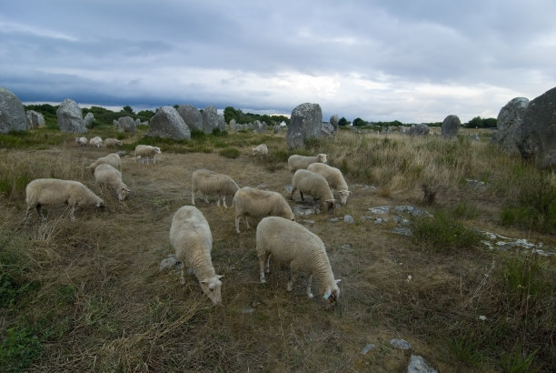 牧羊的牧人图片下载