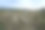 牧羊的牧人图片下载