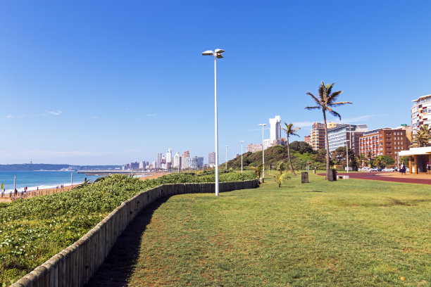 植被、海滩和海洋映衬着蓝天城市的天际线图片下载