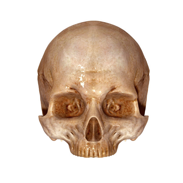 马克西拉图片下载