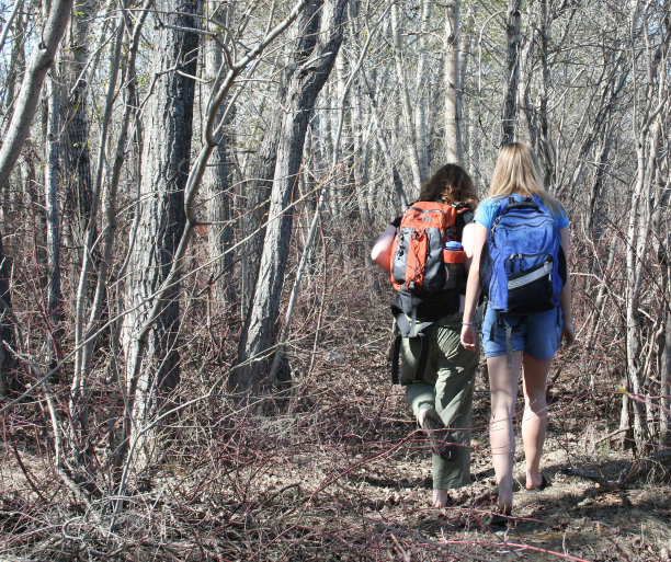 进了树林图片下载