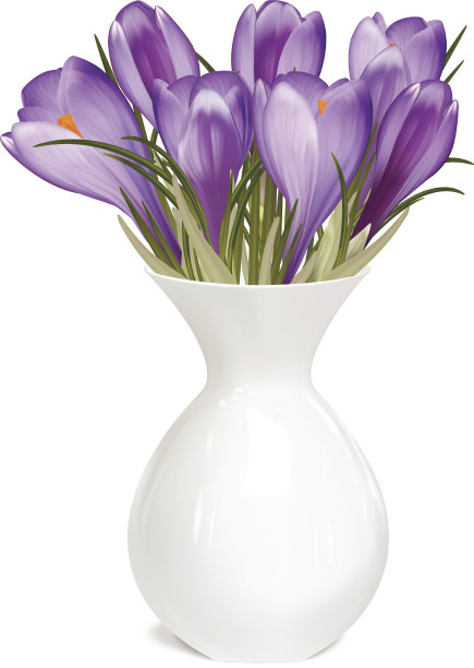春天的花瓶里有一束番红花图片下载