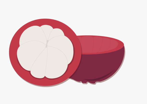 山竹果新鲜水果。矢量图图片下载