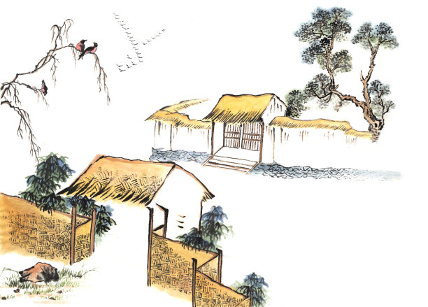 有很多鸟的房子图片下载