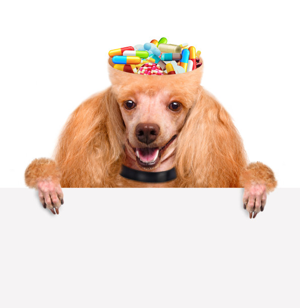 精神食粮图片下载