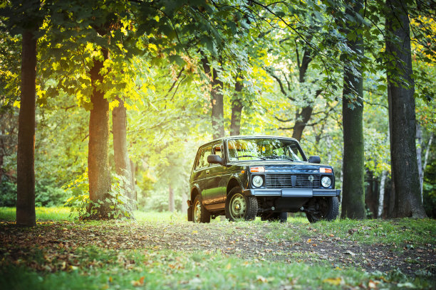 森林里的越野车图片下载