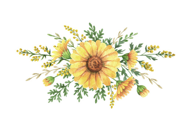 水彩花束与草甸植物。图片下载