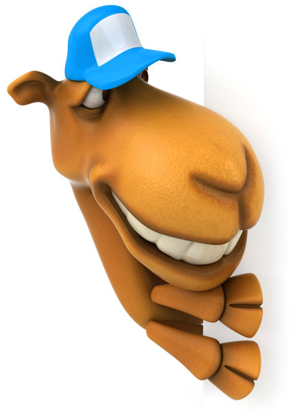 有趣的骆驼图片下载