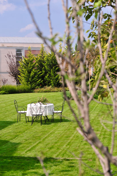 宁静的午餐图片下载