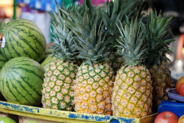 菠萝和西瓜图片下载