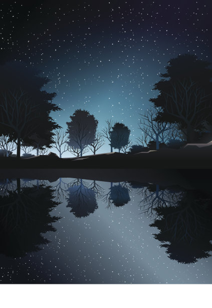 夜晚在湖边的树林深处素材图片