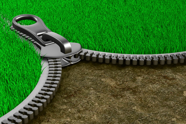 拉链草和地面。孤立的三维图像图片下载