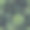 矢量无缝模式与绿色怪物棕榈叶在黑暗的背景。夏季热带面料设计素材图片