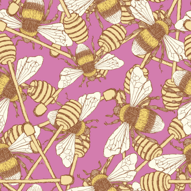 在复古风格的蜂蜜棒和蜜蜂素描图片下载