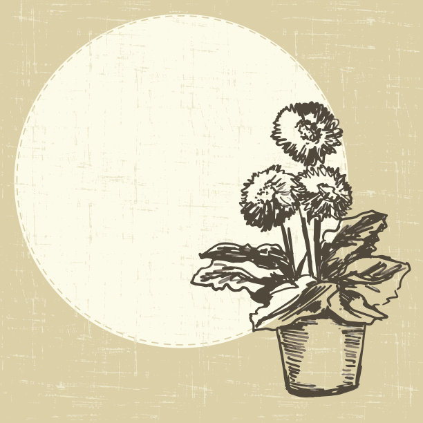 明信片和非洲菊图片下载