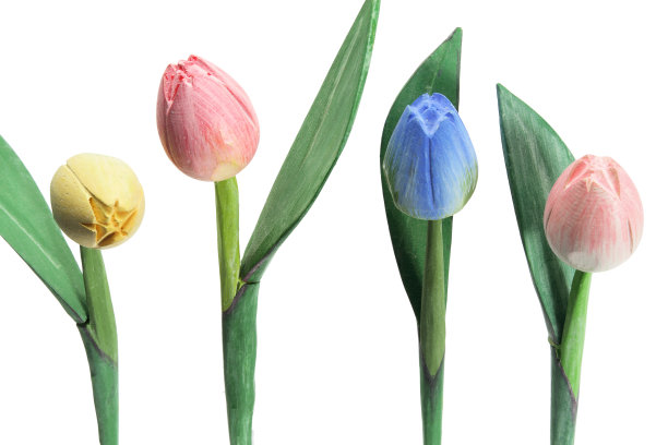 郁金香图片下载