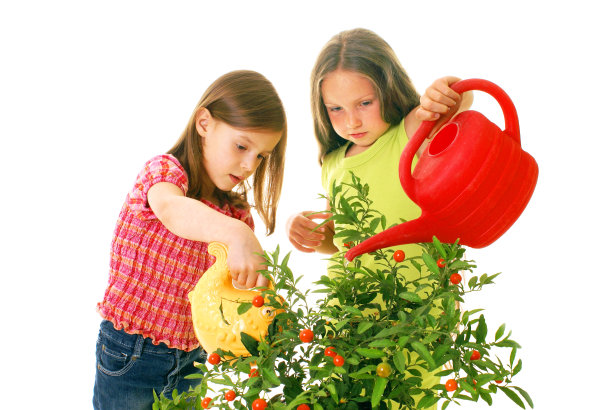 孩子们浇水图片下载