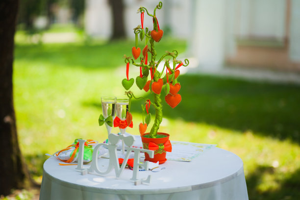 户外庆典的婚礼设置图片下载