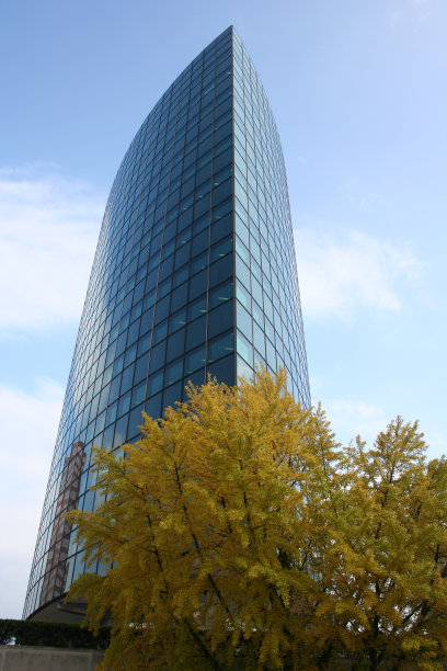 办公室的秋天图片下载