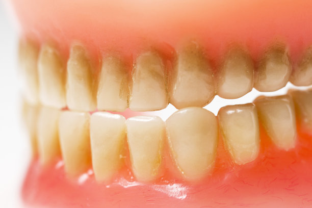 脏牙板图片下载