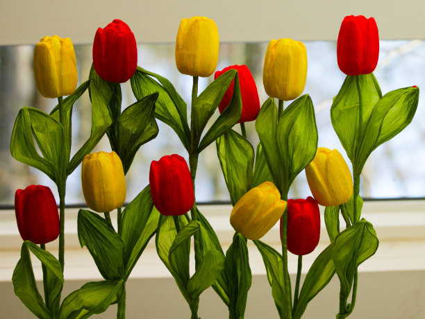 红色和黄色的郁金香排成一排图片下载