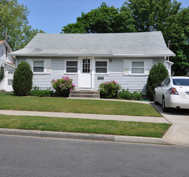 郊区别墅风格的家杜鹃花在盛开图片下载