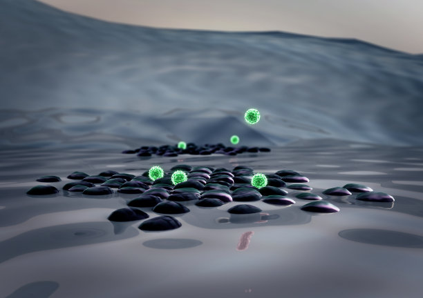 巨噬细胞,β细胞图片下载