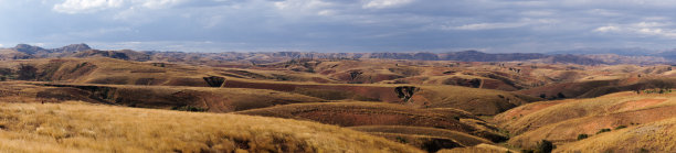 贝塔福图片下载
