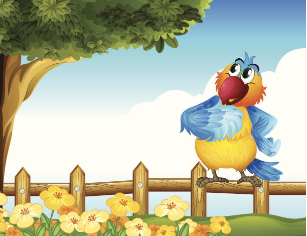 后院的彩色鹦鹉图片下载