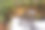 大笑的白鱼瀑布图片岩石国家湖岸图片下载