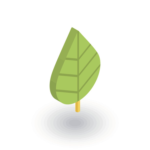 绿叶，生态等距平面图标。三维向量图片下载