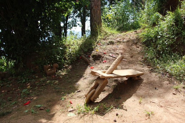 树下的破玩具图片下载