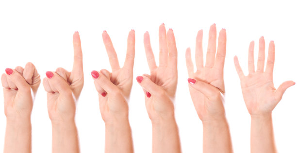 计数手(0到5)图片下载