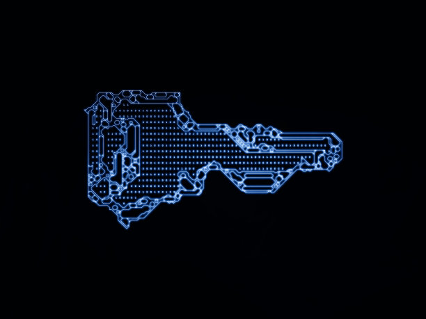 关键代码虚拟化图片下载