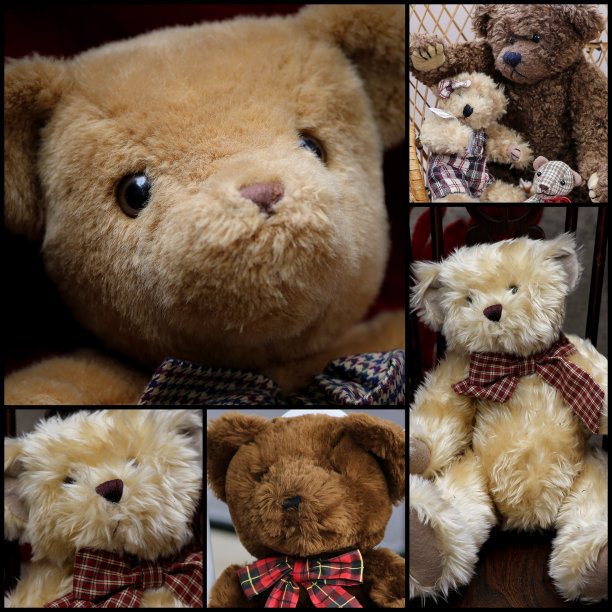 可爱的泰迪套装拼贴图片下载