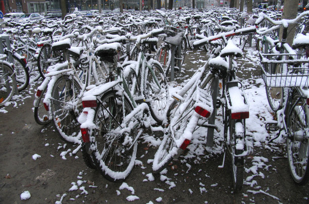 的自行车图片下载