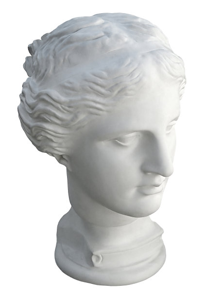 白色背景下人体模型的特写镜头图片下载