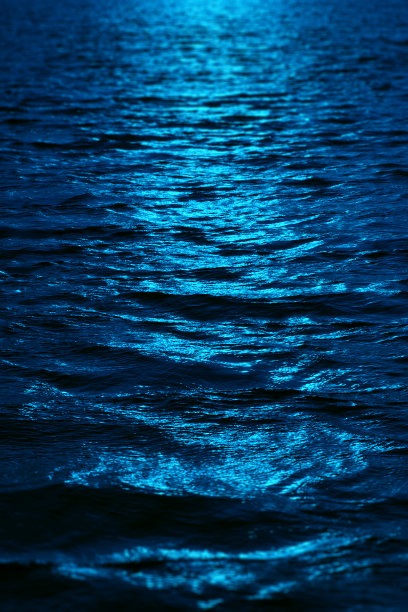 设计元素。高分辨率的图像。夜海羽轴图片下载