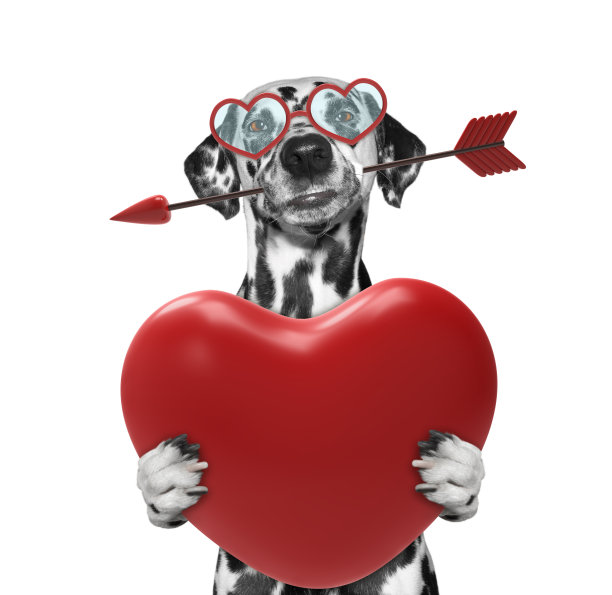 戴着眼镜的狗抱着一颗心图片下载