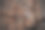 木材纹理木材纹理背景图片下载