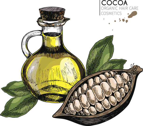 矢量护发成分集。有机手绘彩色元素。可可豆和油的瓶子。图片下载