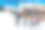 无畏的图片素材ID：138665830