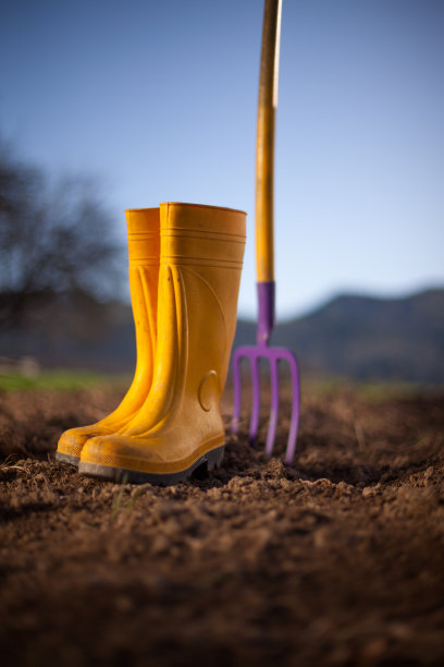 黄色靴子和花园叉子图片下载