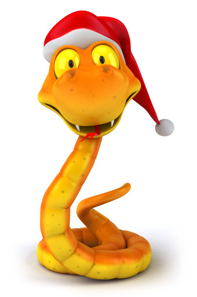 有趣的蛇图片下载