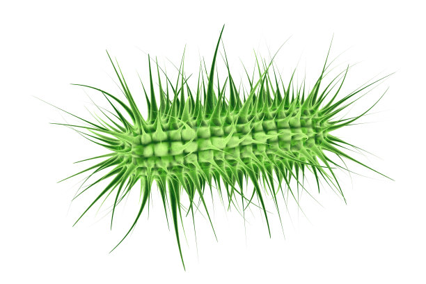 大肠杆菌- 3d渲染插图图片下载