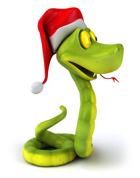 有趣的蛇图片下载