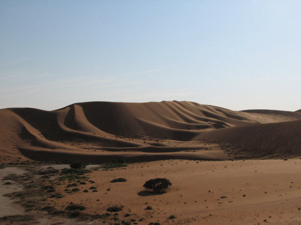 早晨的沙丘图片下载