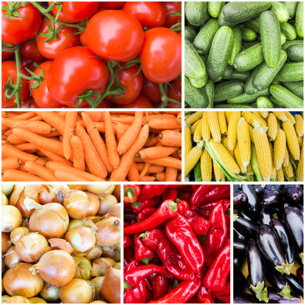 新鲜蔬菜的拼贴画。蔬菜的背景图片下载